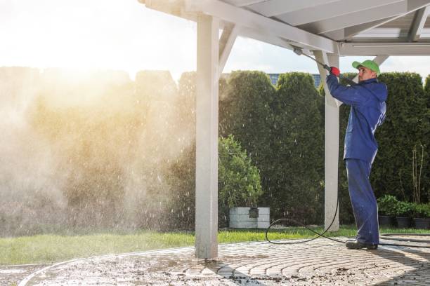 Professional  Pressure Washing Services in Pittsville, MD